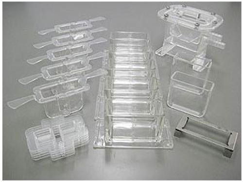 Standard cup set