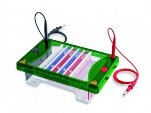 http://www.consort.be/plugins/i18n_specialpages/browser/pic.php?w=375&h=454&p=product-fotos%2Felectrophoresis%2Fe3400.jpg